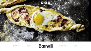 خرید تم وردپرس barnelli