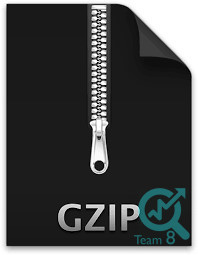 افزونه G zip compression