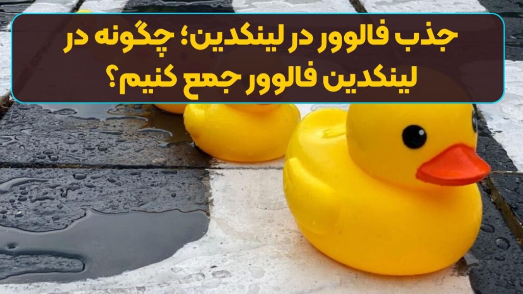جذب فالوور در لینکدین؛ چگونه در لینکدین فالوور جمع کنیم؟