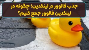 جذب فالوور در لینکدین؛ چگونه در لینکدین فالوور جمع کنیم؟