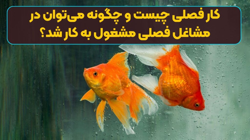 کار فصلی چیست و چگونه می‌توان در مشاغل فصلی مشغول به کار شد؟