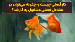 کار فصلی چیست و چگونه می‌توان در مشاغل فصلی مشغول به کار شد؟