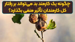 چگونه یک کارمند بد می‌تواند بر رفتار کل کارمندان تأثیر منفی بگذارد؟